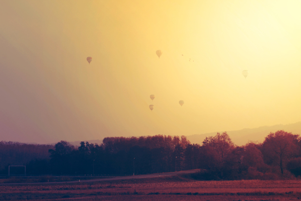 freedom-hot-air-balloons-orange-1567