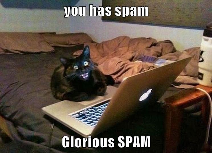 Un chat devant un ordinateur portable, l’air halluciné. Texte : « You has spam. Glorious SPAM »